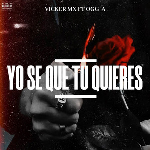 Yo Se Que Tu Quieres (Explicit)