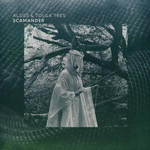 Scamander (feat. Tolga Tres)