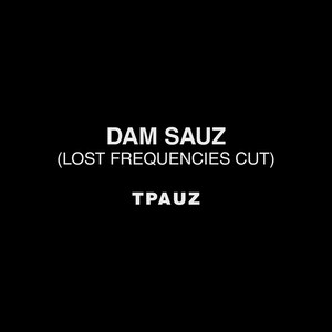 Dam Sauz (Lost Frequencies Cut)