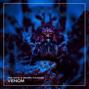 Venom (Original Mix)