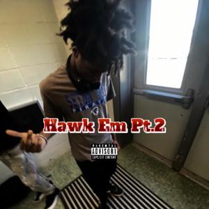 Hawk Em Pt.2 (Explicit)