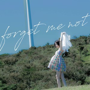 forget me not