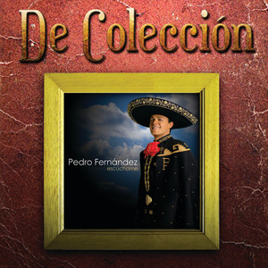Cuestión De Amor (Album Version)