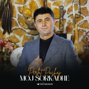 MOJ SORKADHE
