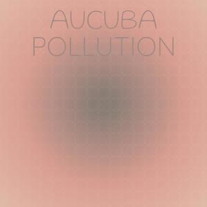 Aucuba Pollution