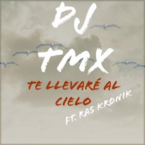 Te Llevaré Al Cielo (Remix)