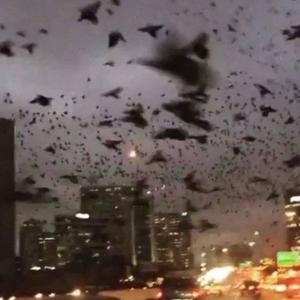 ich will mich nicht ändern (Explicit)