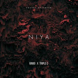 Niya (feat. triple C) [Explicit]