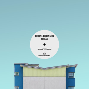 Fuunkt - Electrovision