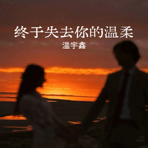 终于失去你的温柔 (伴奏)