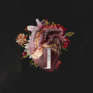 O Céu É O Meu Lugar