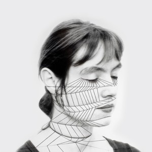 Anticipation Of The Night