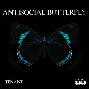 ANTISOCIAL BUTTERFLY (Explicit)