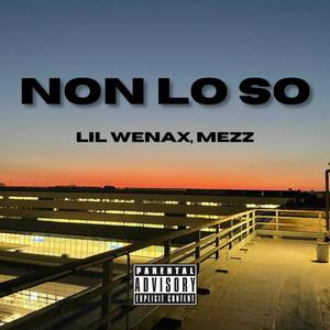 NON LO SO (feat. MEZZ) [Explicit]