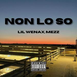 NON LO SO (feat. MEZZ) (Explicit)