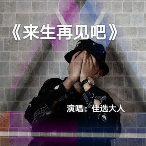 来生再见吧