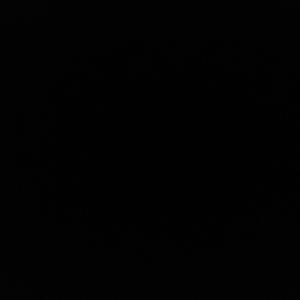 Walk Through (Explicit)