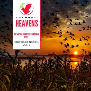 The Nature Forest Creatures and Birds - Sounds of Nature, Vol. 8