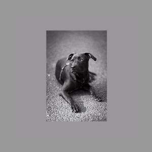 DJANGO FREESTYLE (Explicit)