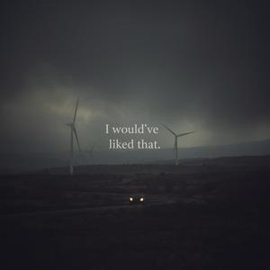 I Would've Liked That (feat. Just-B)