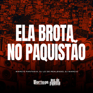 Ela Brota No Paquistão (Explicit)