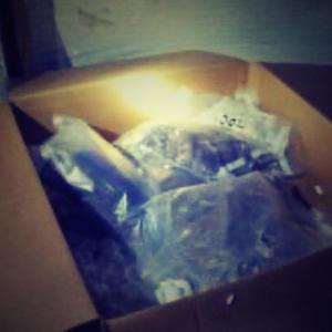 murda murda (feat. kidd luci) (Explicit)