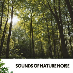 Sounds of Nature Noise: Symphony of Serenity