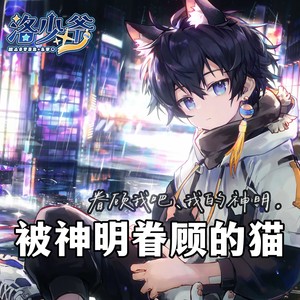 被神明眷顾的猫