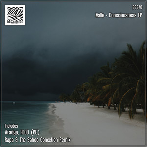 Consciousness (HOOD|PE|Remix)