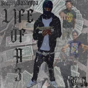 Life of a 3 (Explicit)