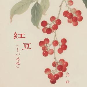 红豆 (走心女版)