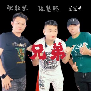 兄弟 (DJ沈念版)