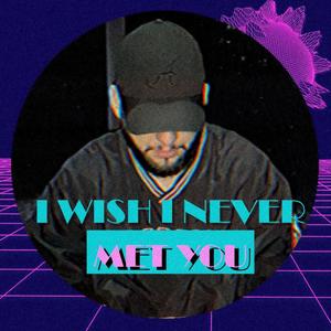 I Wish I Never Met You (Explicit)