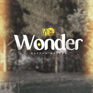 Wonder