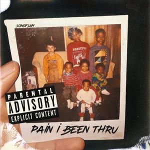 pain i been thru (Explicit)
