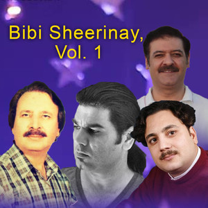 Bibi Sheerinay, Vol. 1