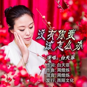 没有你我该怎么办