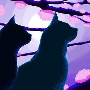 No Se Si Sientes (Explicit)