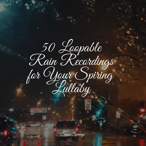 Jungle, Evening, Quiet, Birds