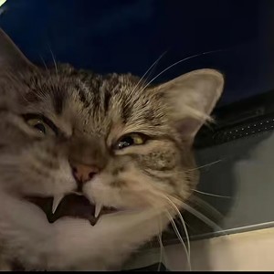 我其实没有你想的那么坏