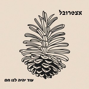 מעגלים
