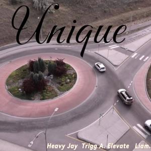 Unique (feat. Liam. & Trigg A. Elevate) (Explicit)
