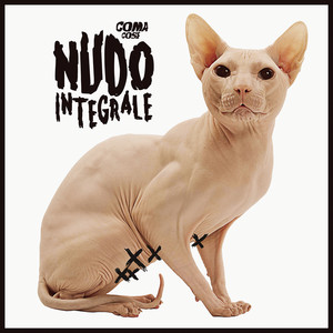 Nudo integrale (Explicit)