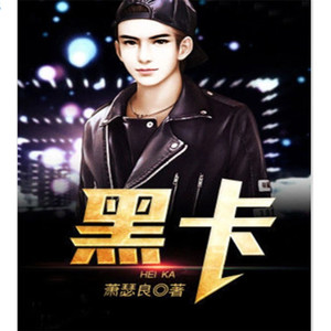 夏斯Ai听书 - 第20章 微信二姐_