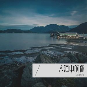 人海中的你