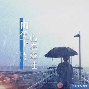 雨在下心在牵挂 (DJ小鱼儿版)