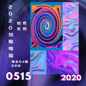 2020热歌电摇