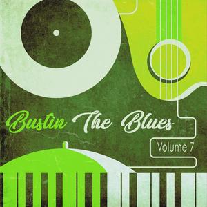 Bustin the Blues, Vol. 7