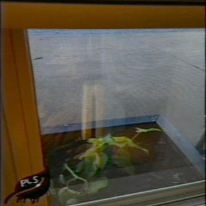 the view is impeccable