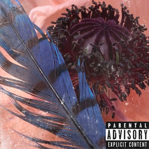 Zig-Zag (bonus) (Explicit)